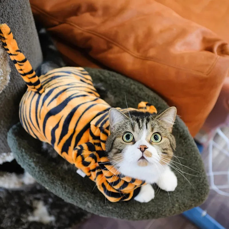 Halloween Costumes For Pets