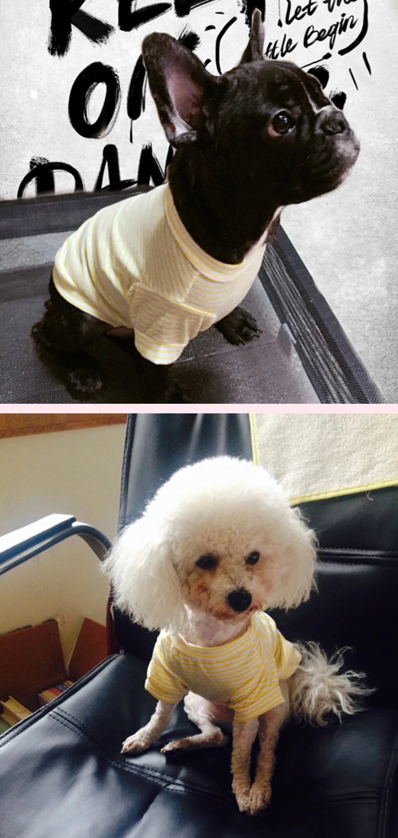Stripped Pet Shirt