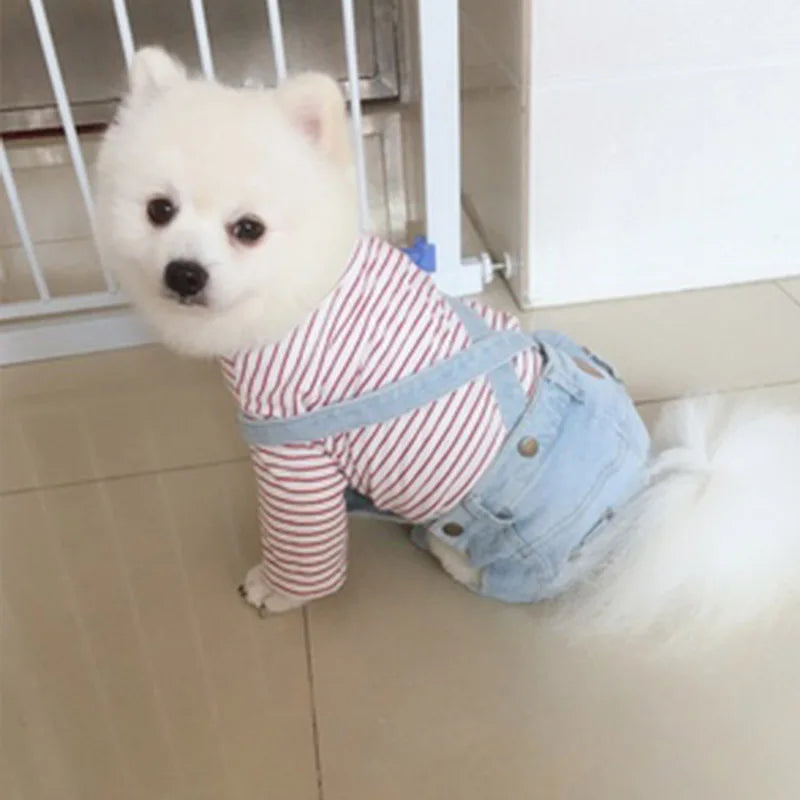 Denim Jean Overalls