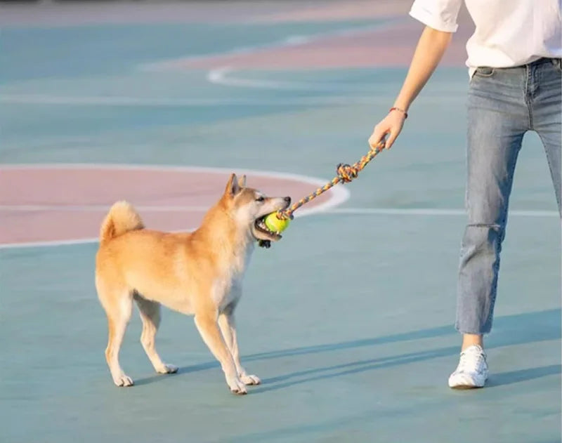 Rope & Roll – Cotton Rope Ball Chew & Dental Toy for Dogs