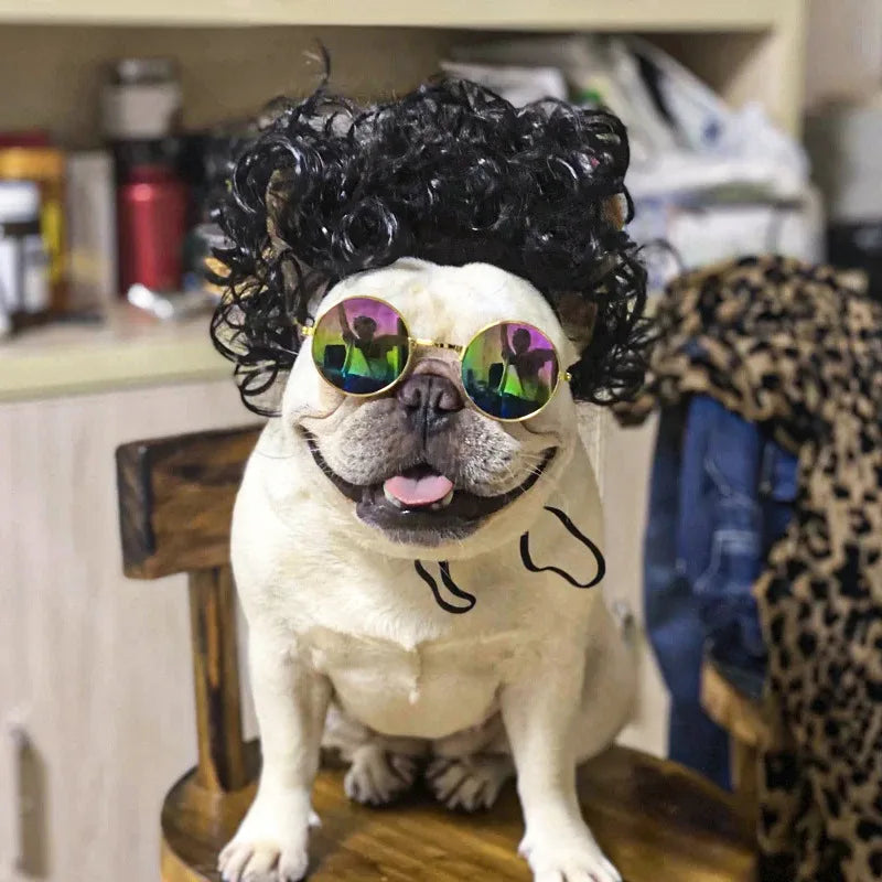 Pet Cosplay Wig & Hair Set for Dogs & Cats