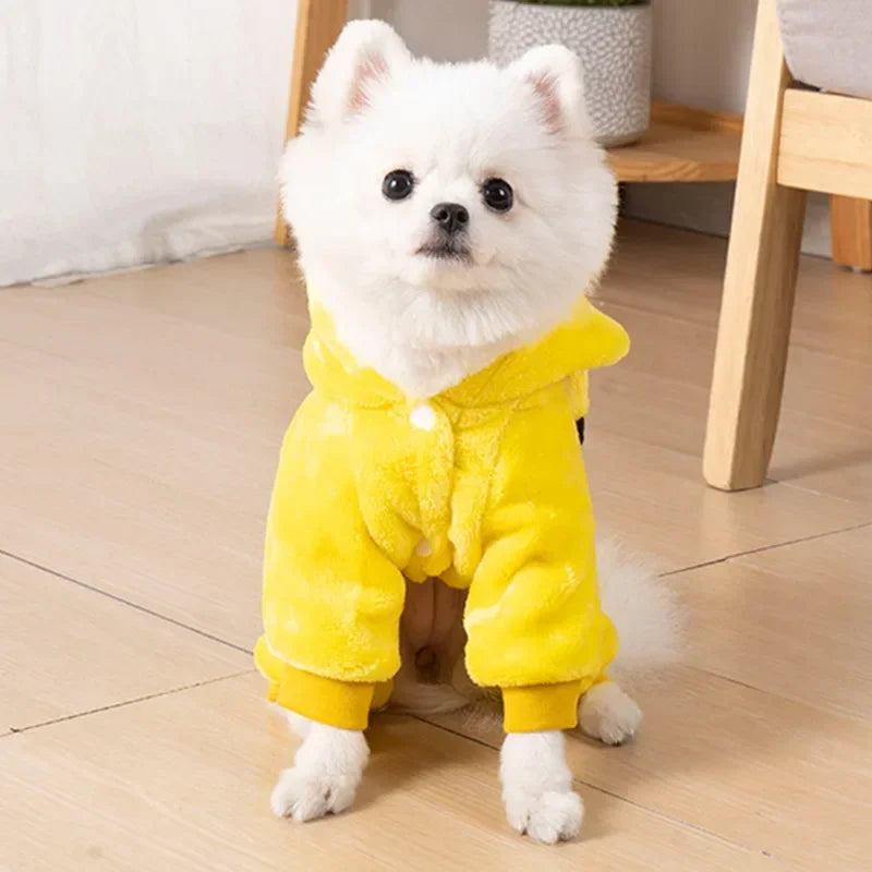 Halloween Costumes For Pets
