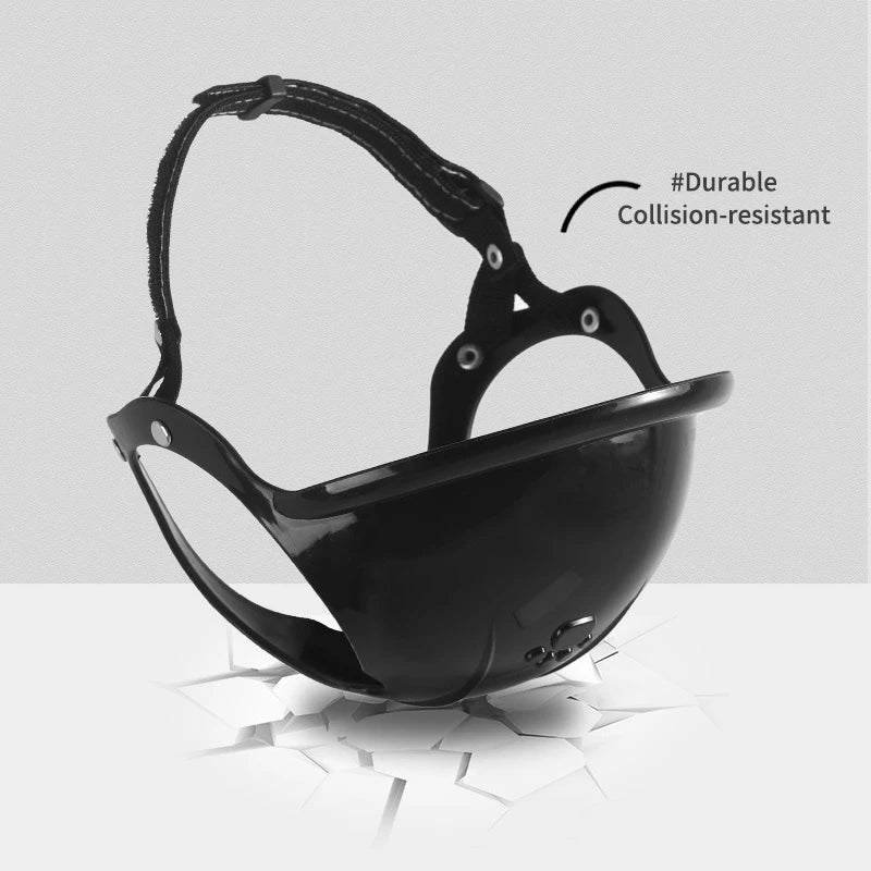 Pet Motorcycle Helmet