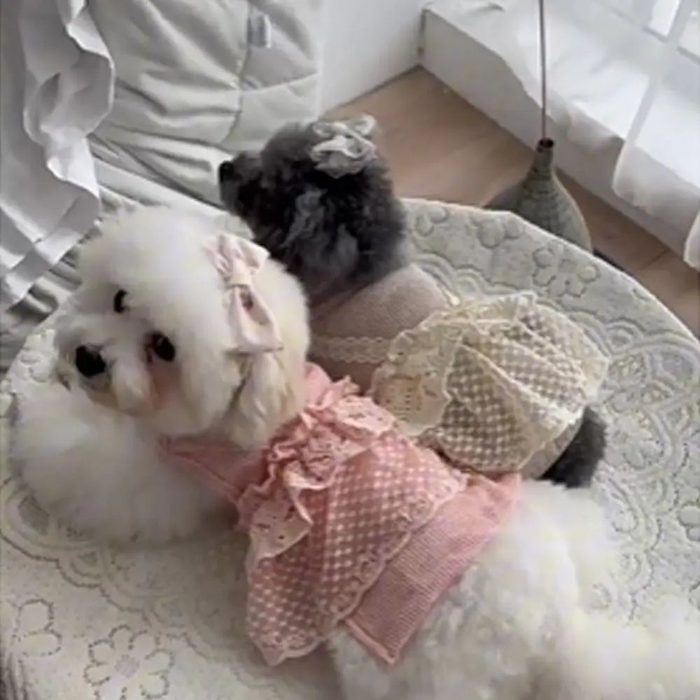 Waffle Lace Camisole Pet Jumpsuit