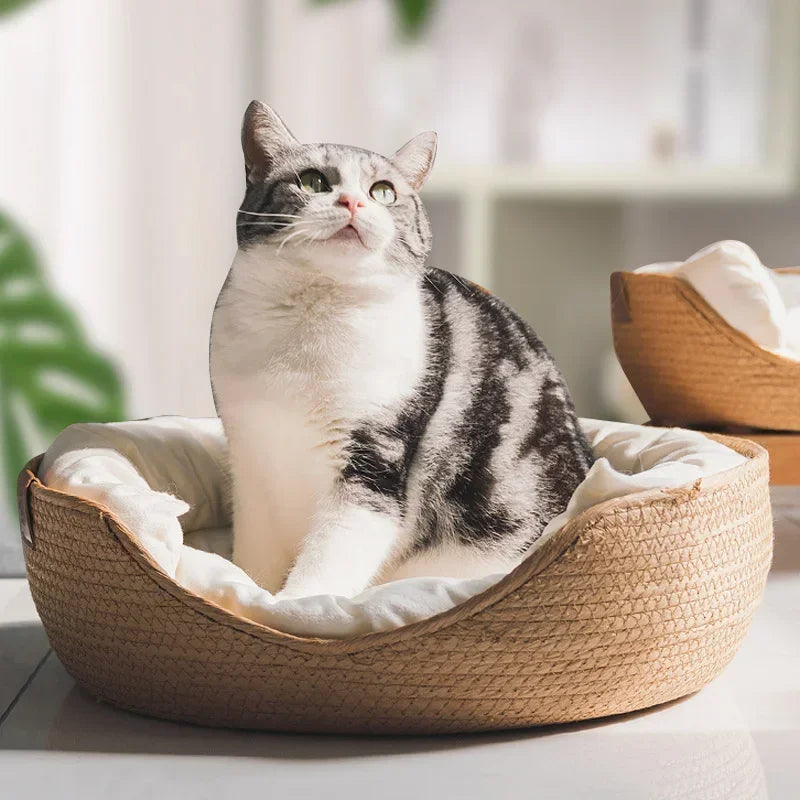 Bamboo Woven Waterproof Pet Bed with Pillow