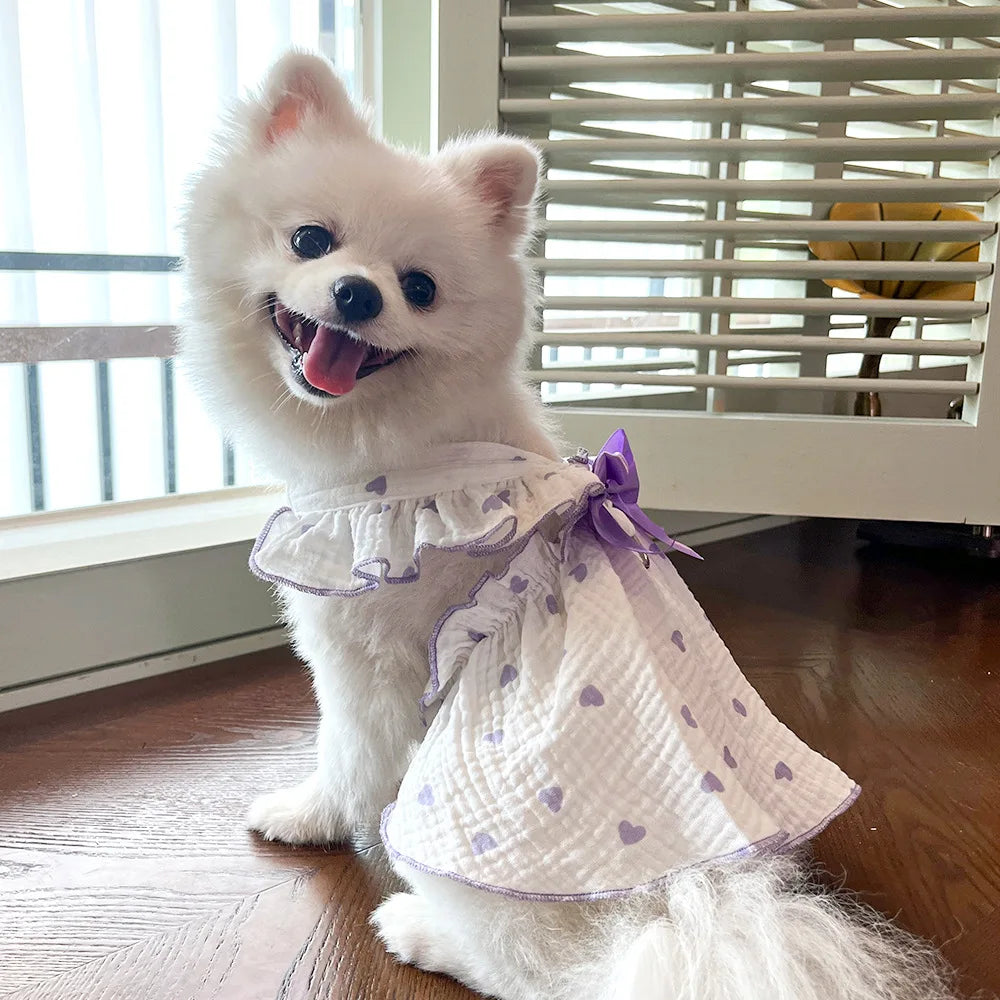 Princess Dress for Dogs & Cats