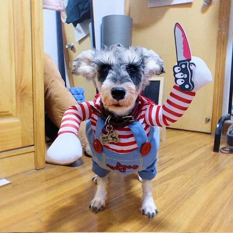 Funny Pet Costumes for Halloween