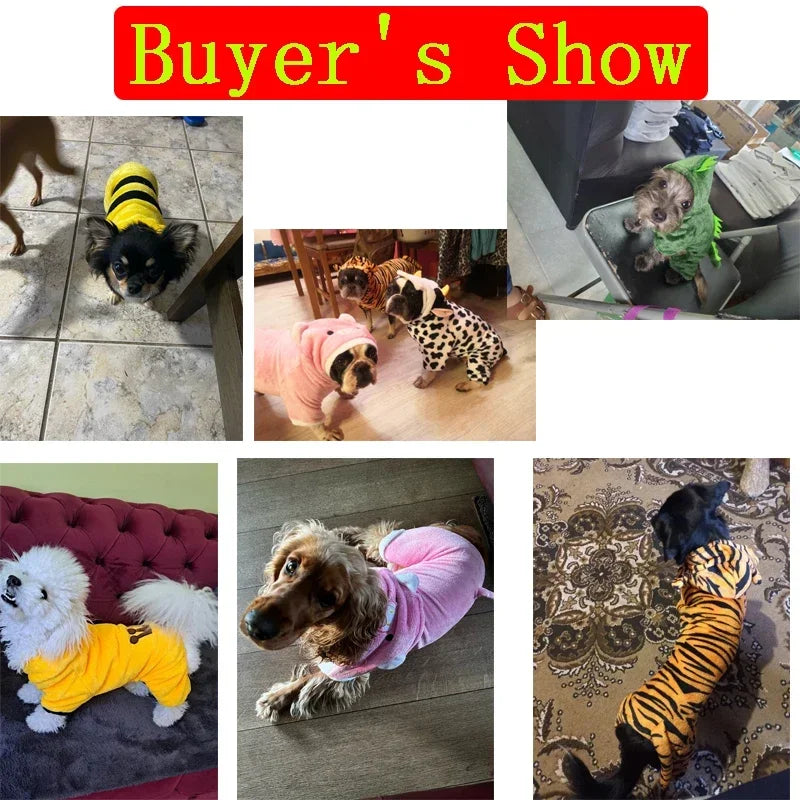 Halloween Costumes For Pets