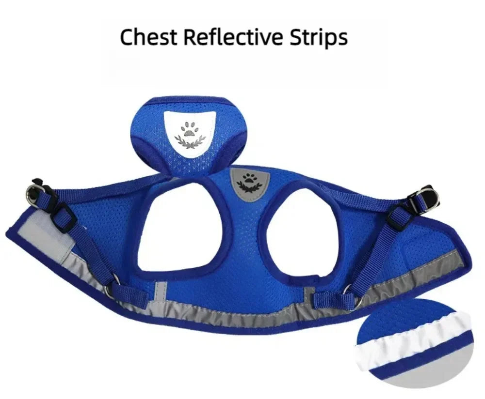 Adjustable Reflective Mesh Vest Harness & Leash Set for Cats & Small Dogs