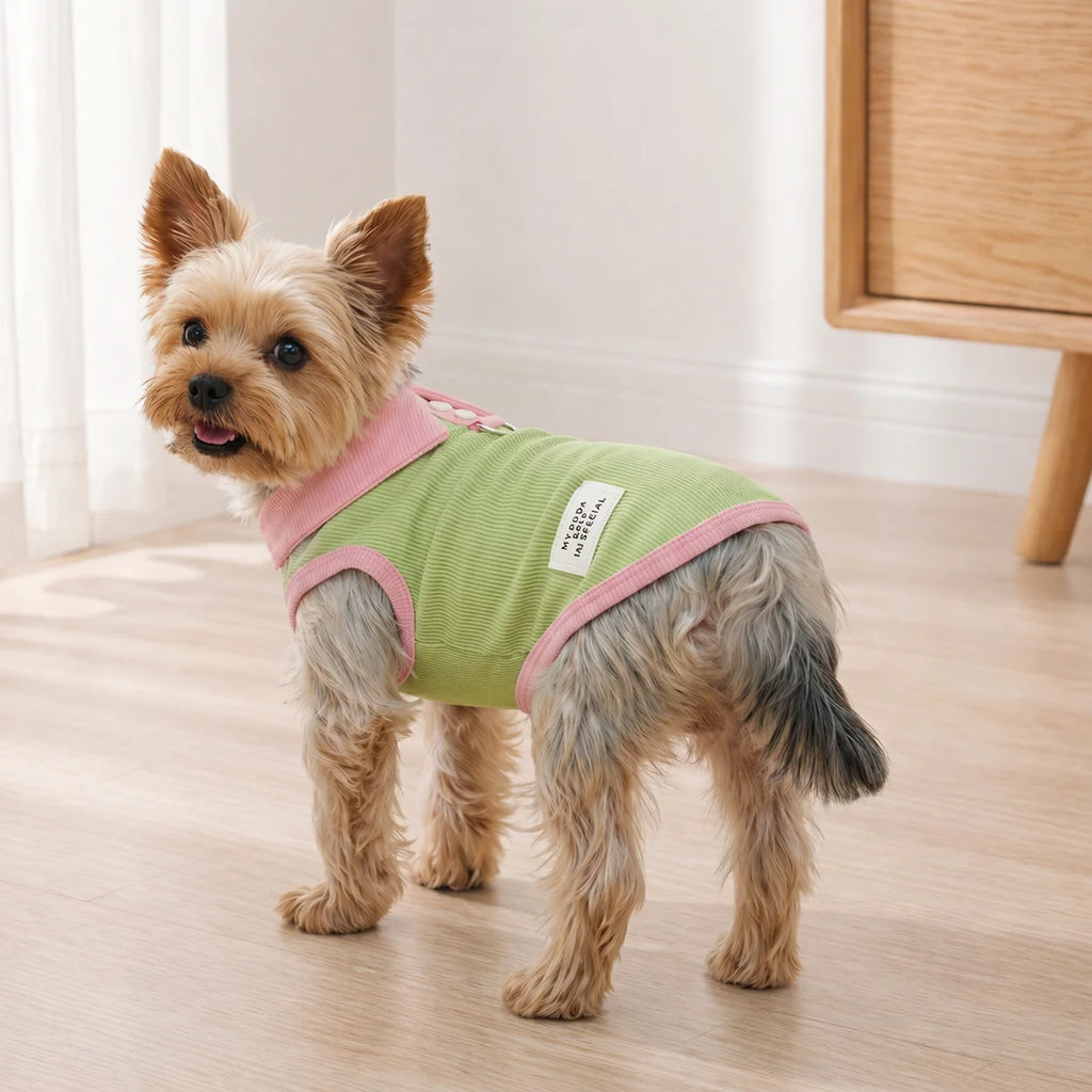 Spring Dresses for Pets