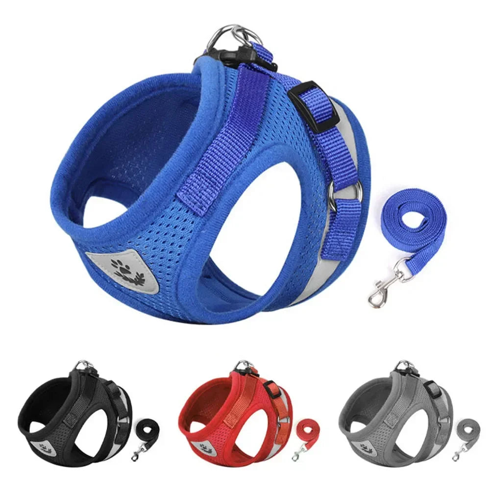 Adjustable Reflective Mesh Vest Harness & Leash Set for Cats & Small Dogs