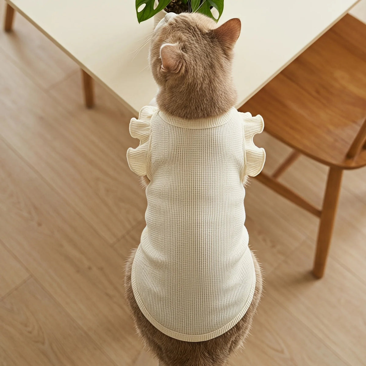 Cute Waffle Ruffle Sleeve Pet T-Shirt