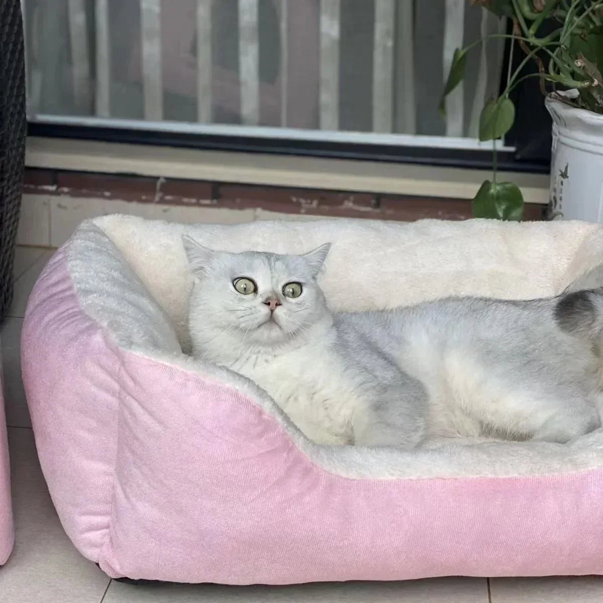 Super Soft Plush Beds for Cats