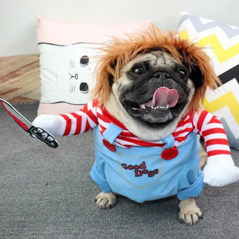 Funny Pet Costumes for Halloween