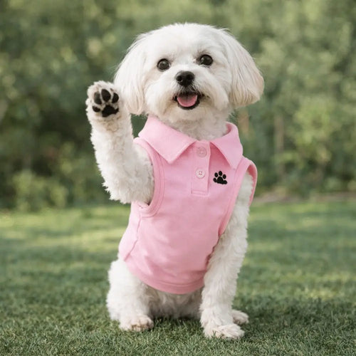 Adorable Spring and Summer Dog Shirt