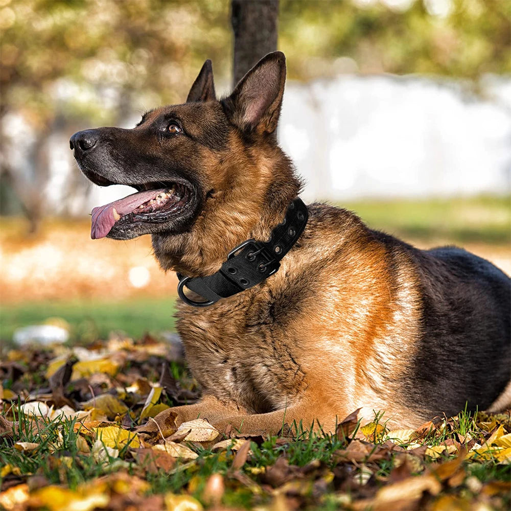 Military Tactical Dog Collar with Metal Buckle & ID Panel