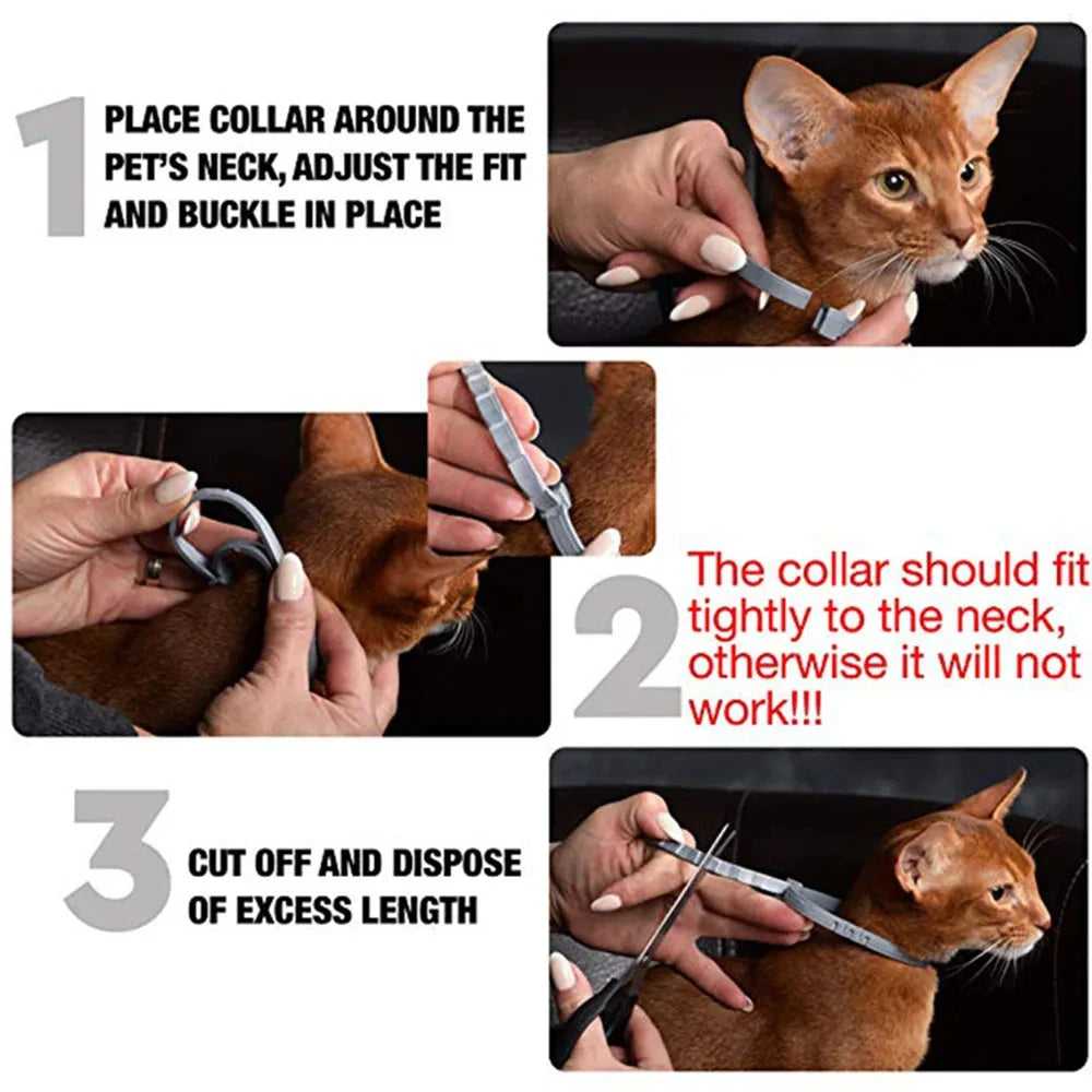 Natural Flea & Tick Protection Collar with Essential Oils