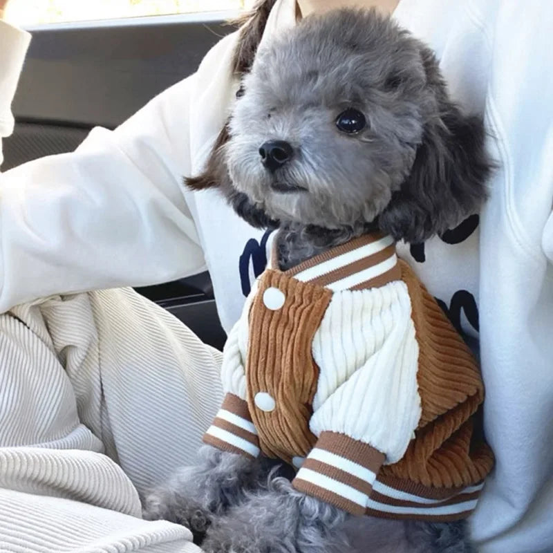 Striped Corduroy Baseball Jacket for Small Dogs & Cats