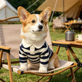 Striped Stretch Pet Shirt for Dogs & Cats