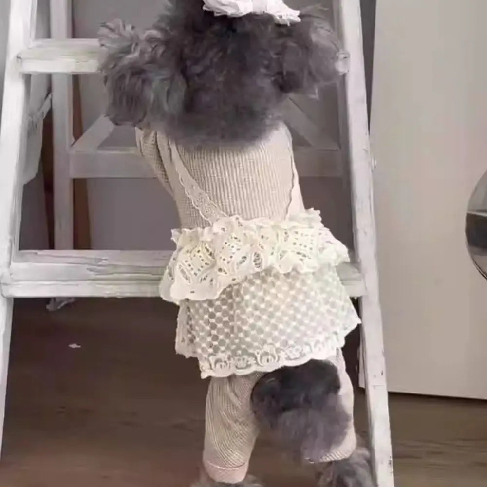 Waffle Lace Camisole Pet Jumpsuit