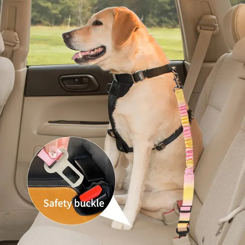 Pet Car Safety Belt & Seat Buckle for Dogs & Cats