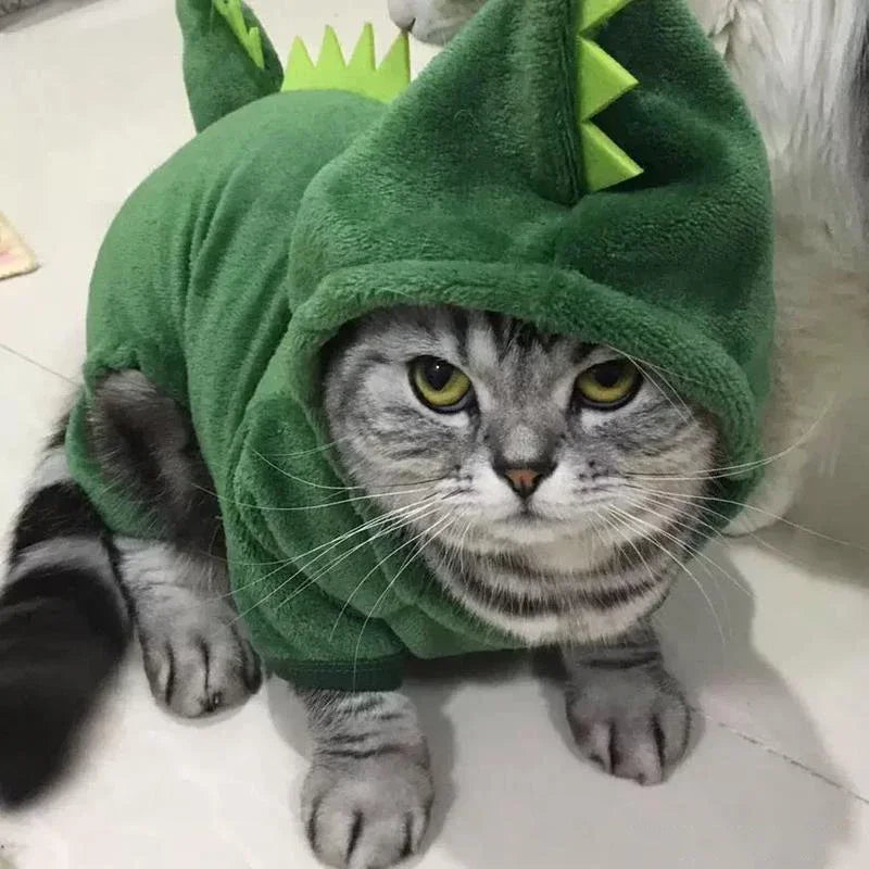 Halloween Costumes For Pets