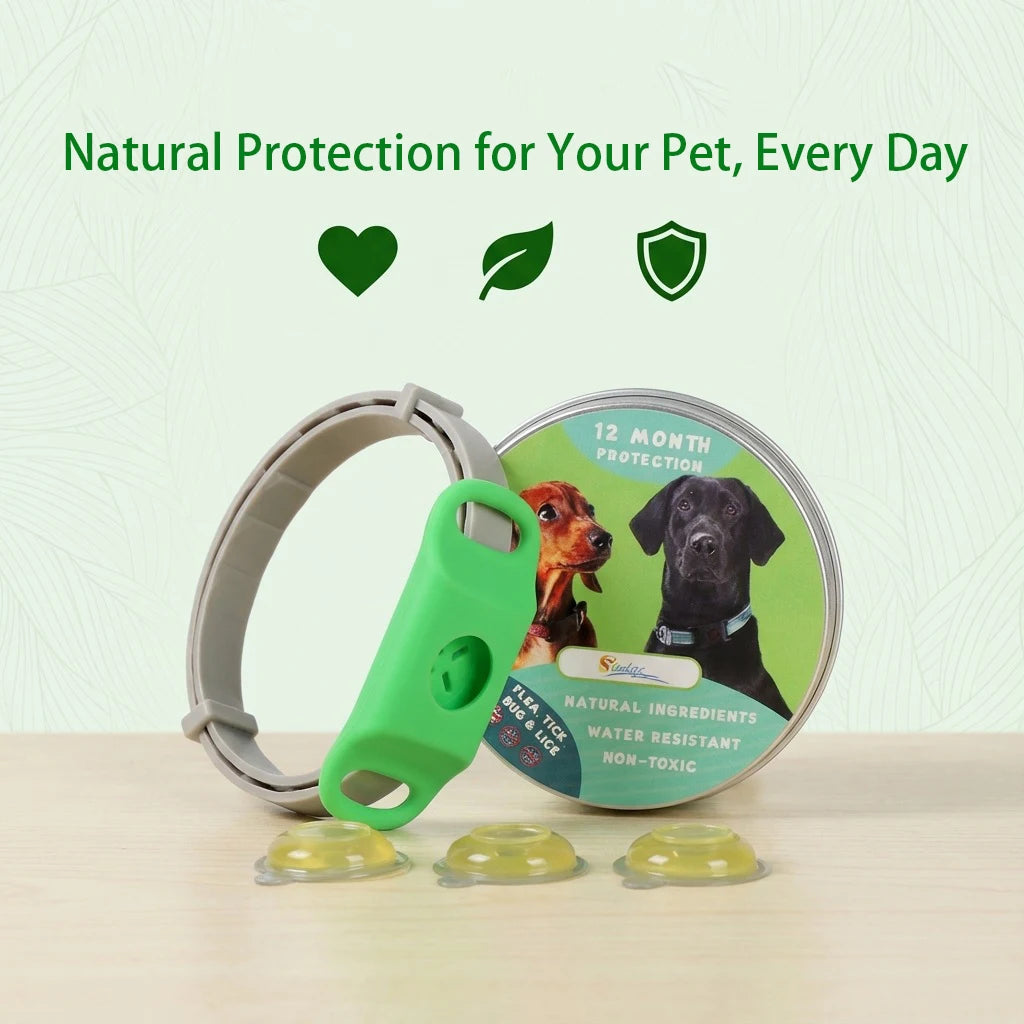 Natural Flea & Tick Protection Collar with Essential Oils