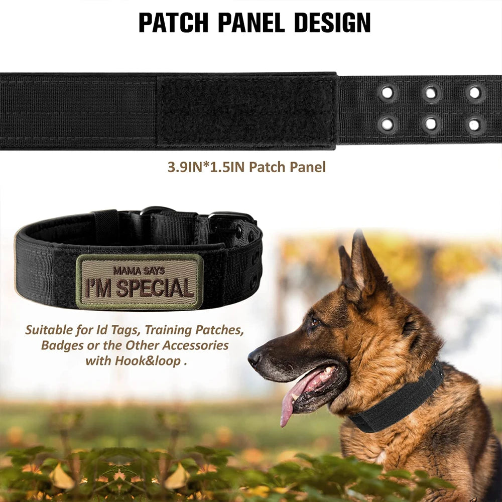 Military Tactical Dog Collar with Metal Buckle & ID Panel