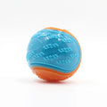 Bounce & Squeak – TPR Squeaky Ball Toy for Dogs