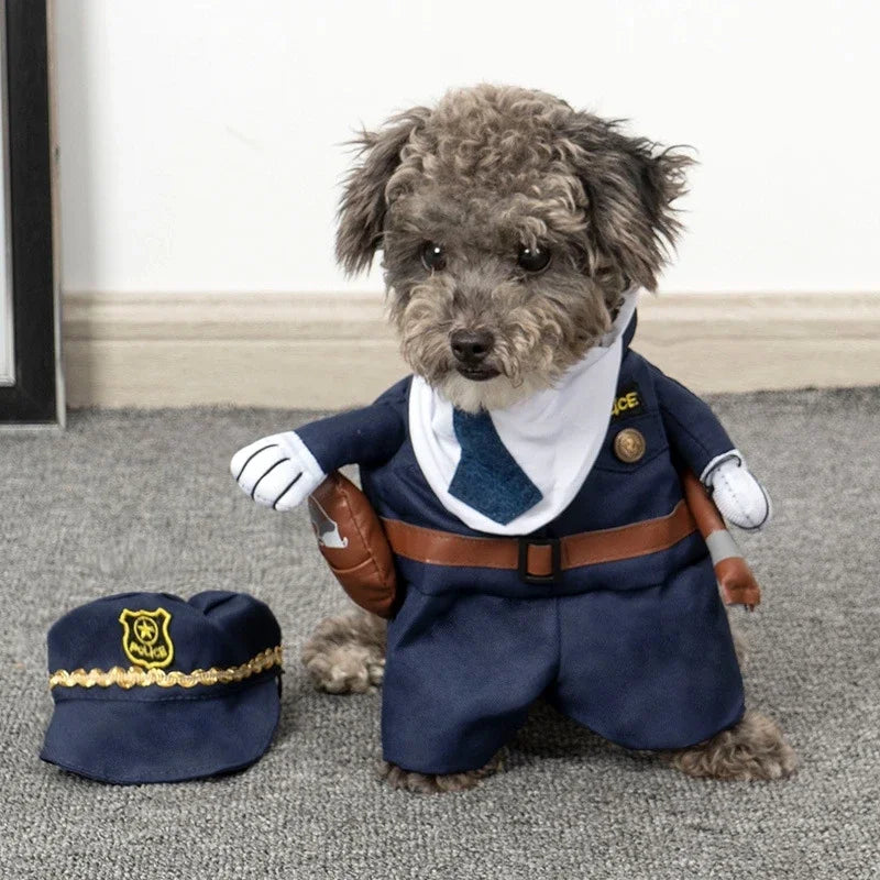 Funny Pet Costumes for Halloween