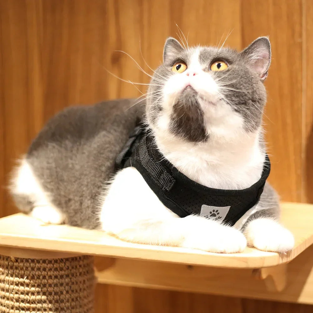 Adjustable Reflective Mesh Vest Harness & Leash Set for Cats & Small Dogs
