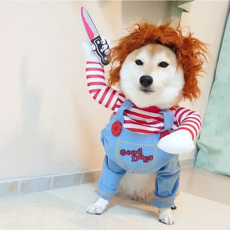 Funny Pet Costumes for Halloween