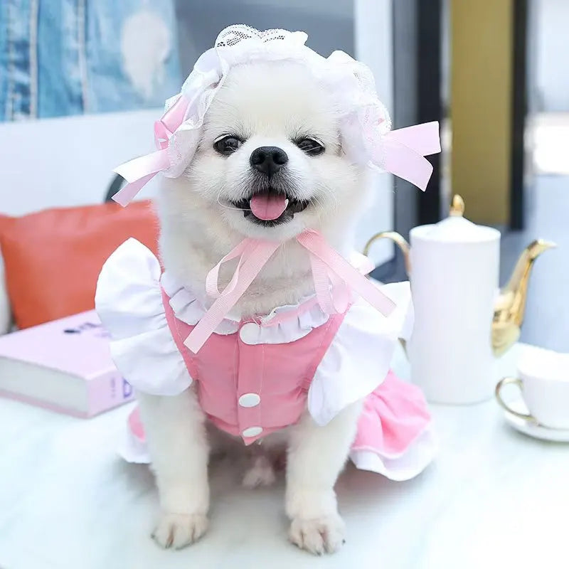 Maid Pet Dress with Leash Hook for Dogs & Cats