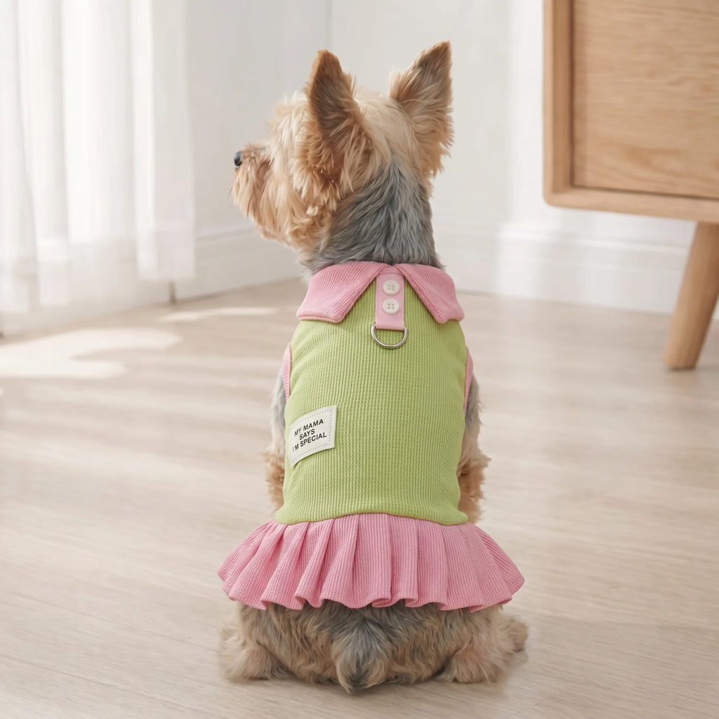 Spring Dresses for Pets