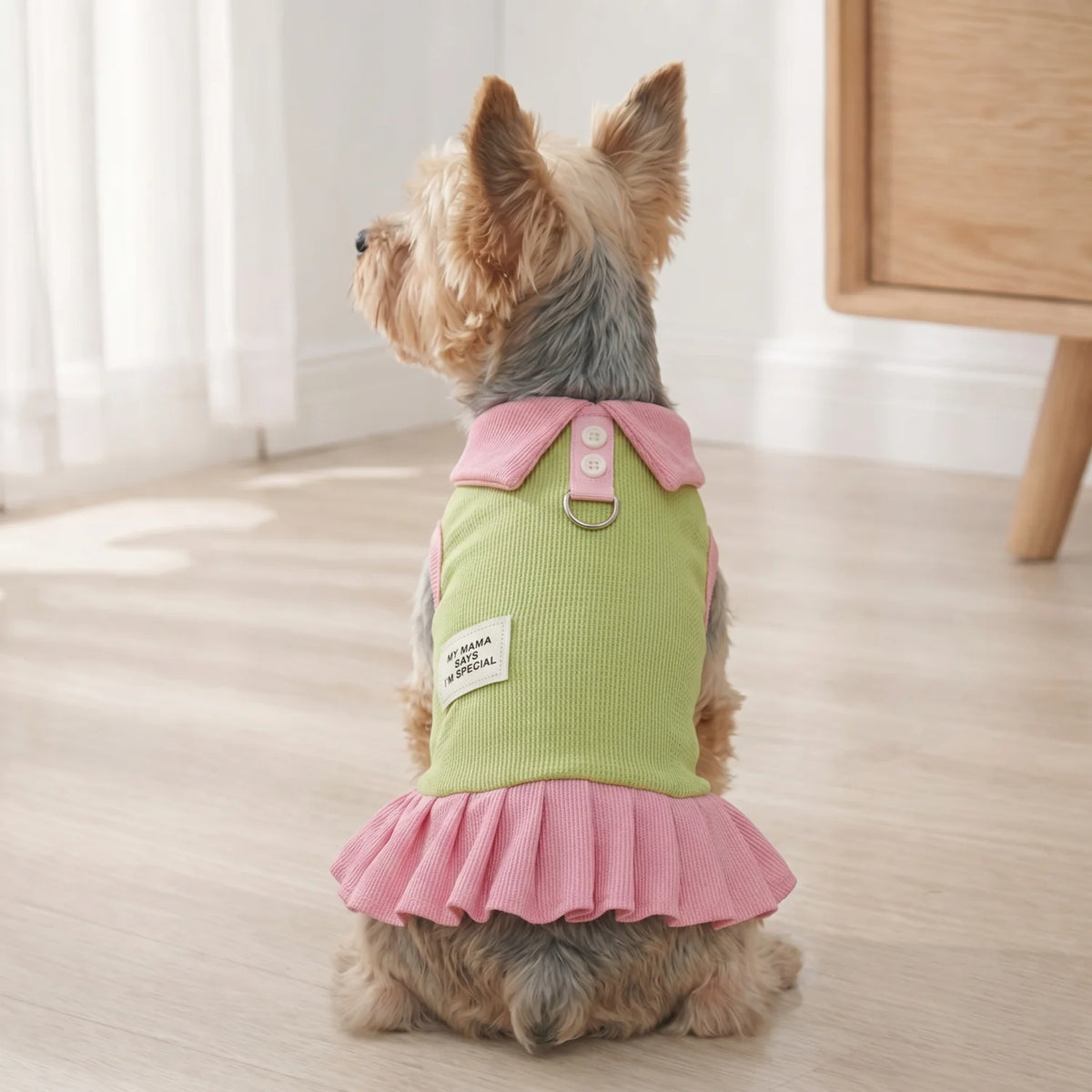 Spring Dresses for Pets