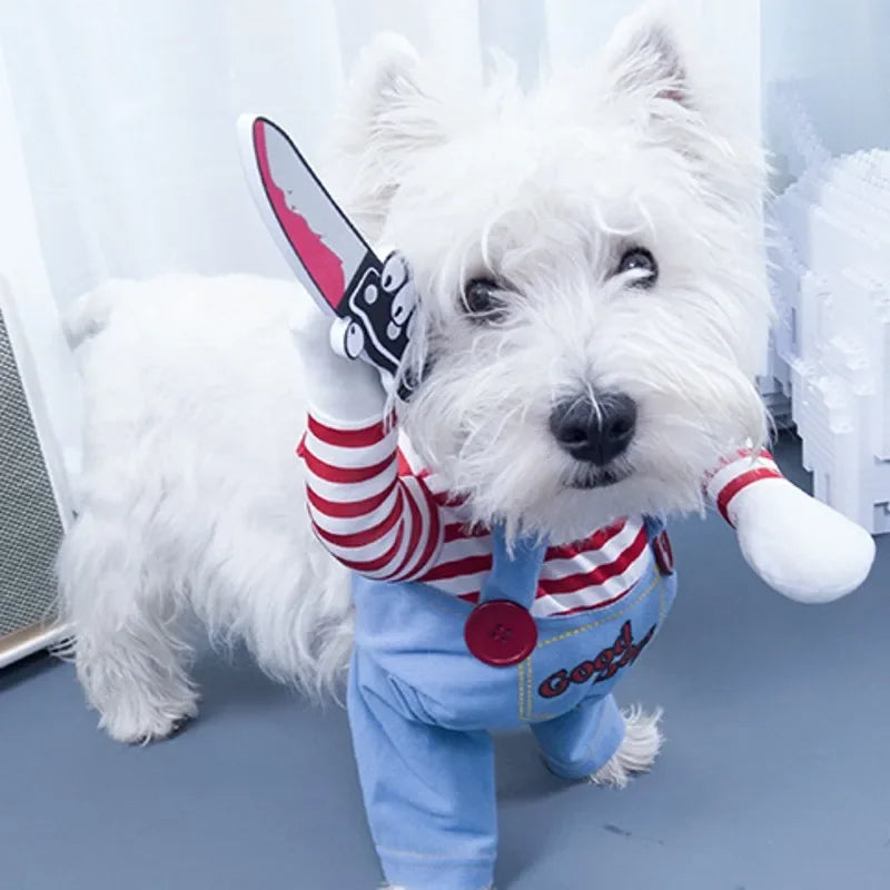 Funny Pet Costumes for Halloween