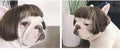 Pet Cosplay Wig & Hair Set for Dogs & Cats