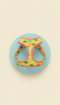 Sunny Biscuit harness with quick-release buckles