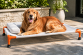 Floating Elevated Pet Cot - Orange & White